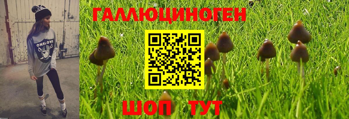 Галлюциногенные грибы MAGIC MUSHROOMS  магазин    Набережные Челны  Вход с VPN 