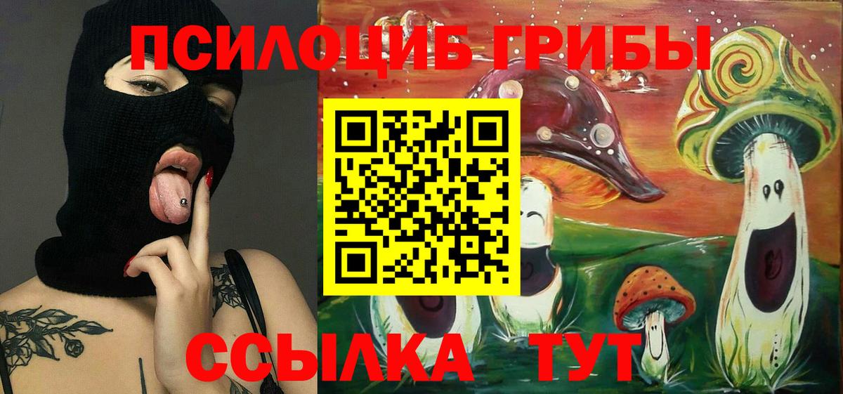 Псилоцибиновые грибы мухоморы Набережные Челны